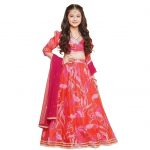 Lehenga Cholis