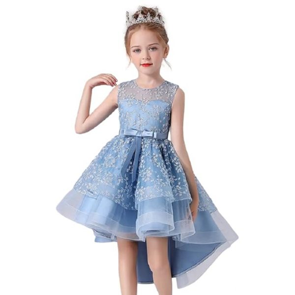 3D Embroidered Flowers Princess Lace Dress for Girls Birthday Party Prom Girl's Special Occasion Performances Host Evening Gown