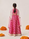 Lehenga Cholis
