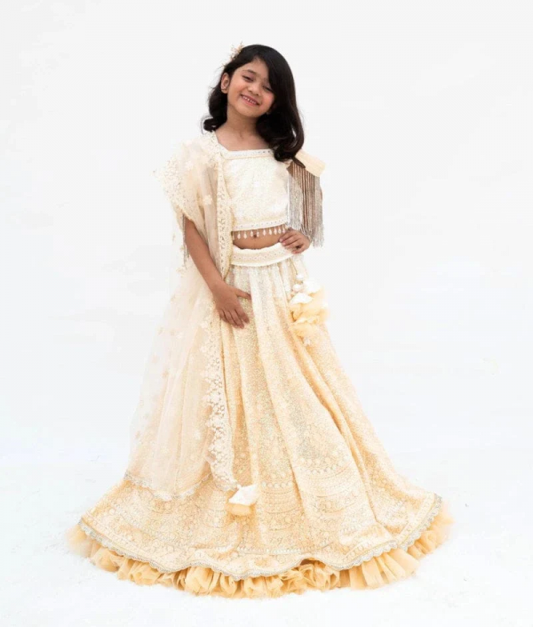 Beige Ombre Lehenga Set
