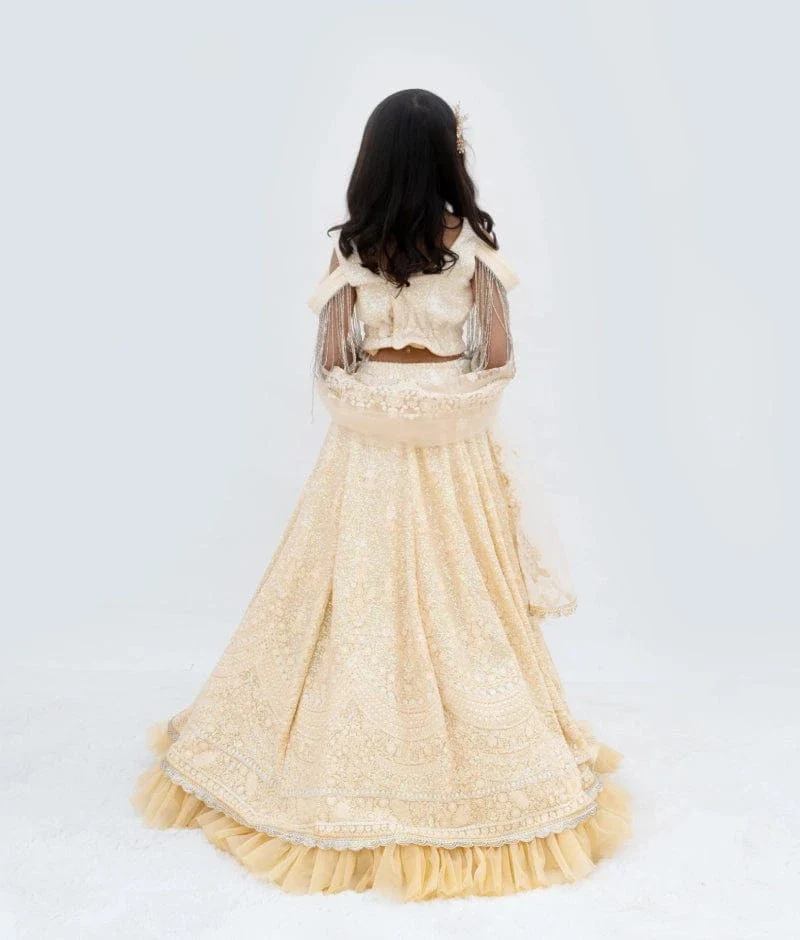 Beige Ombre Lehenga Set - Image 4